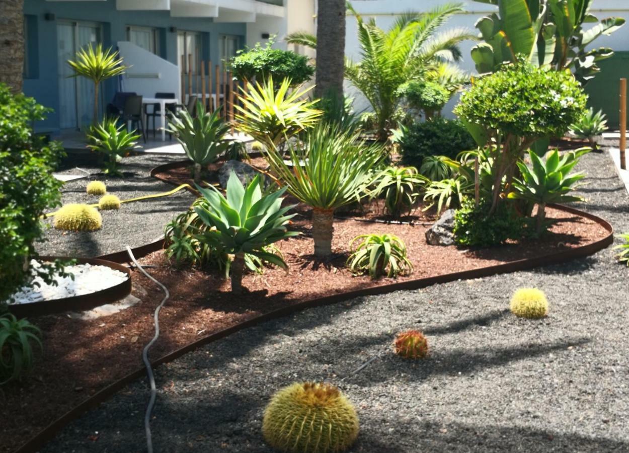 Appartement Vista Bristol 50B Corralejo Kültér fotó